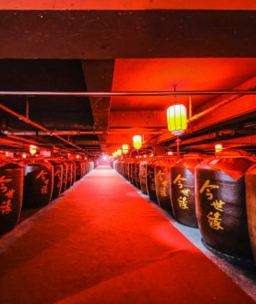 99905cm银河美酒银行